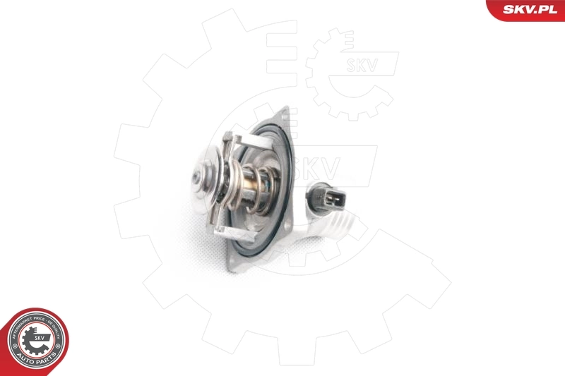 Thermostat, coolant